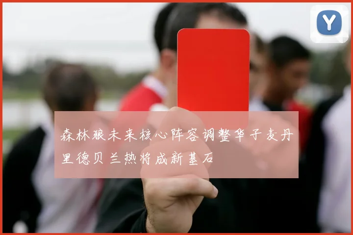 森林狼未来核心阵容调整华子麦丹里德贝兰热将成新基石