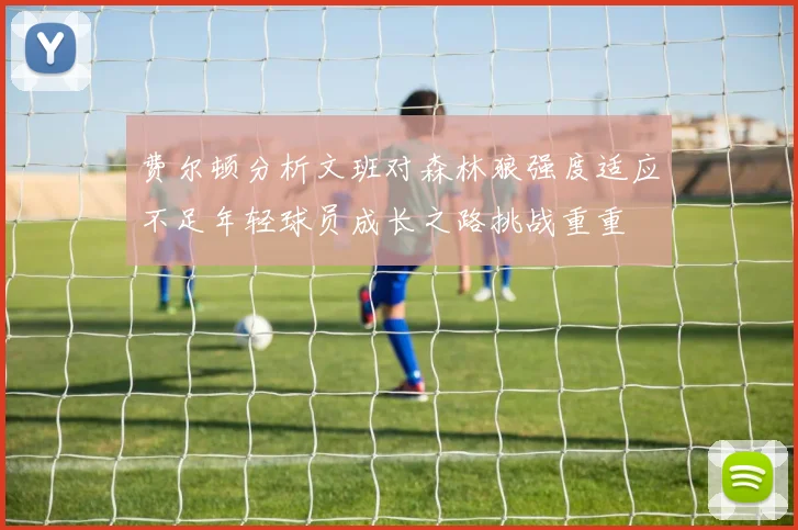 费尔顿分析文班对森林狼强度适应不足年轻球员成长之路挑战重重